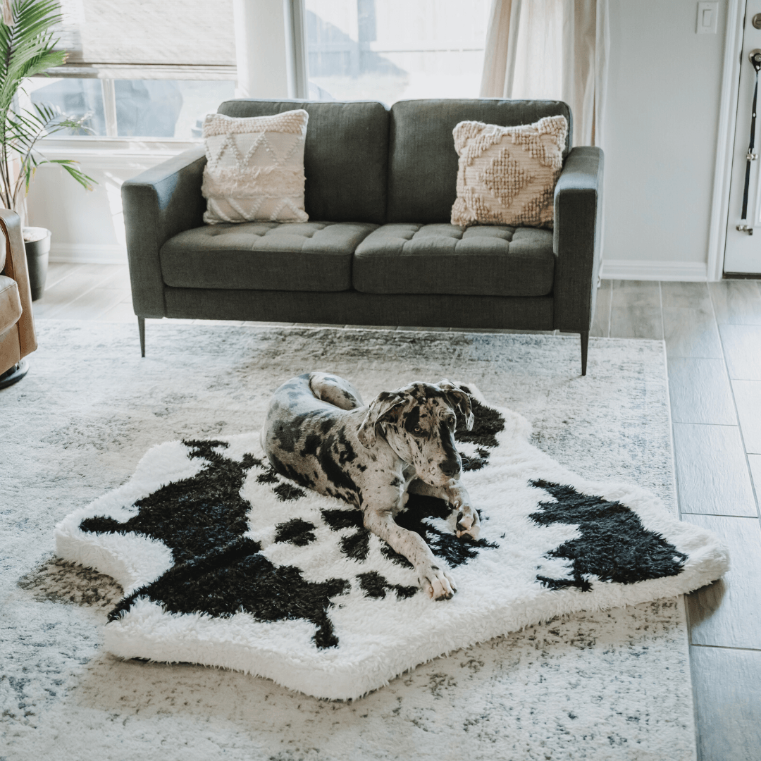 Animal Pattern Memory Foam Dog Bed - Black Faux Fur