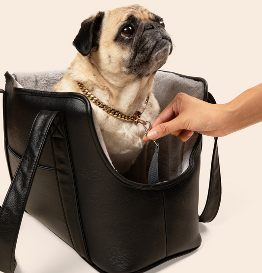3-in-1 Faux Leather Dog Bag - Black