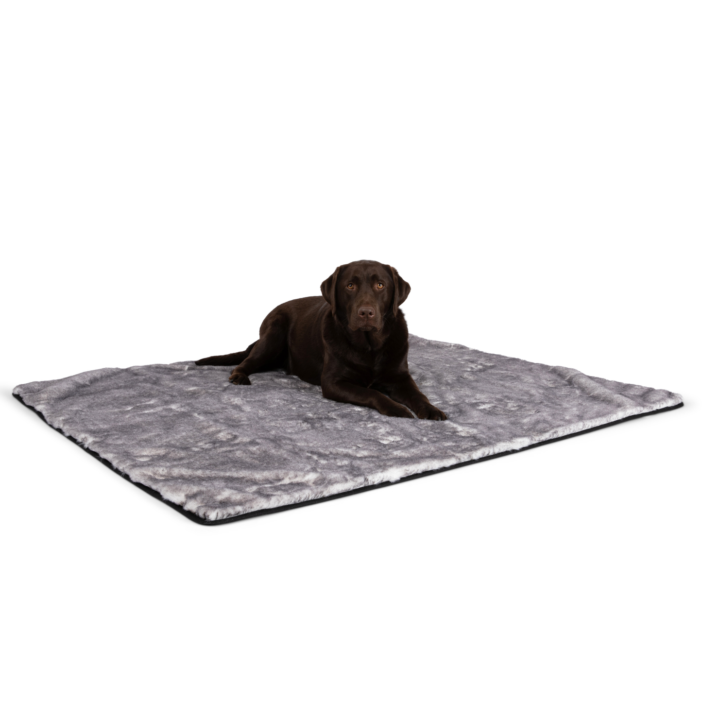 Orthopedic Runner Bed for Dogs + Waterproof Blanket Set - Chinchilla