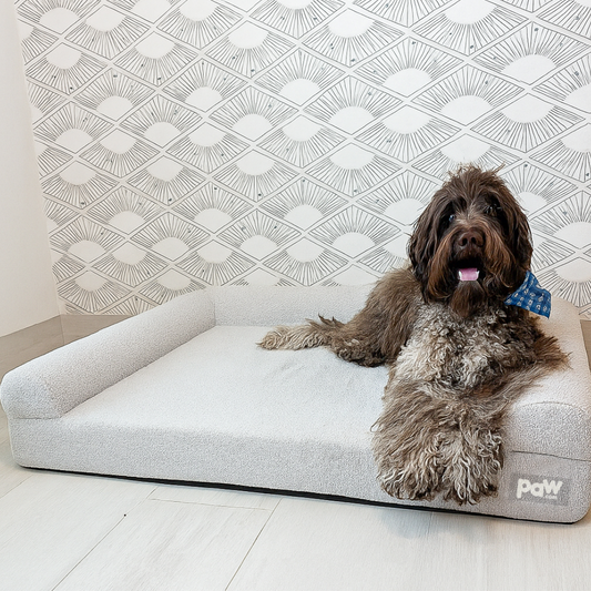 3-Bolster Dog Bed - Grey Bouclé