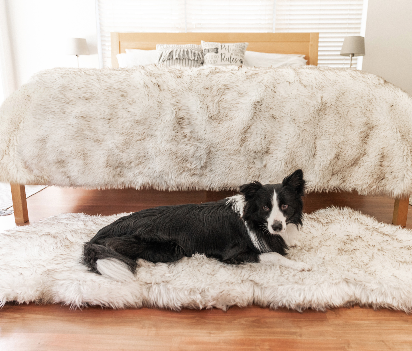 Orthopedic Dog Bed with Waterproof Blanket - White with Brown Accents
