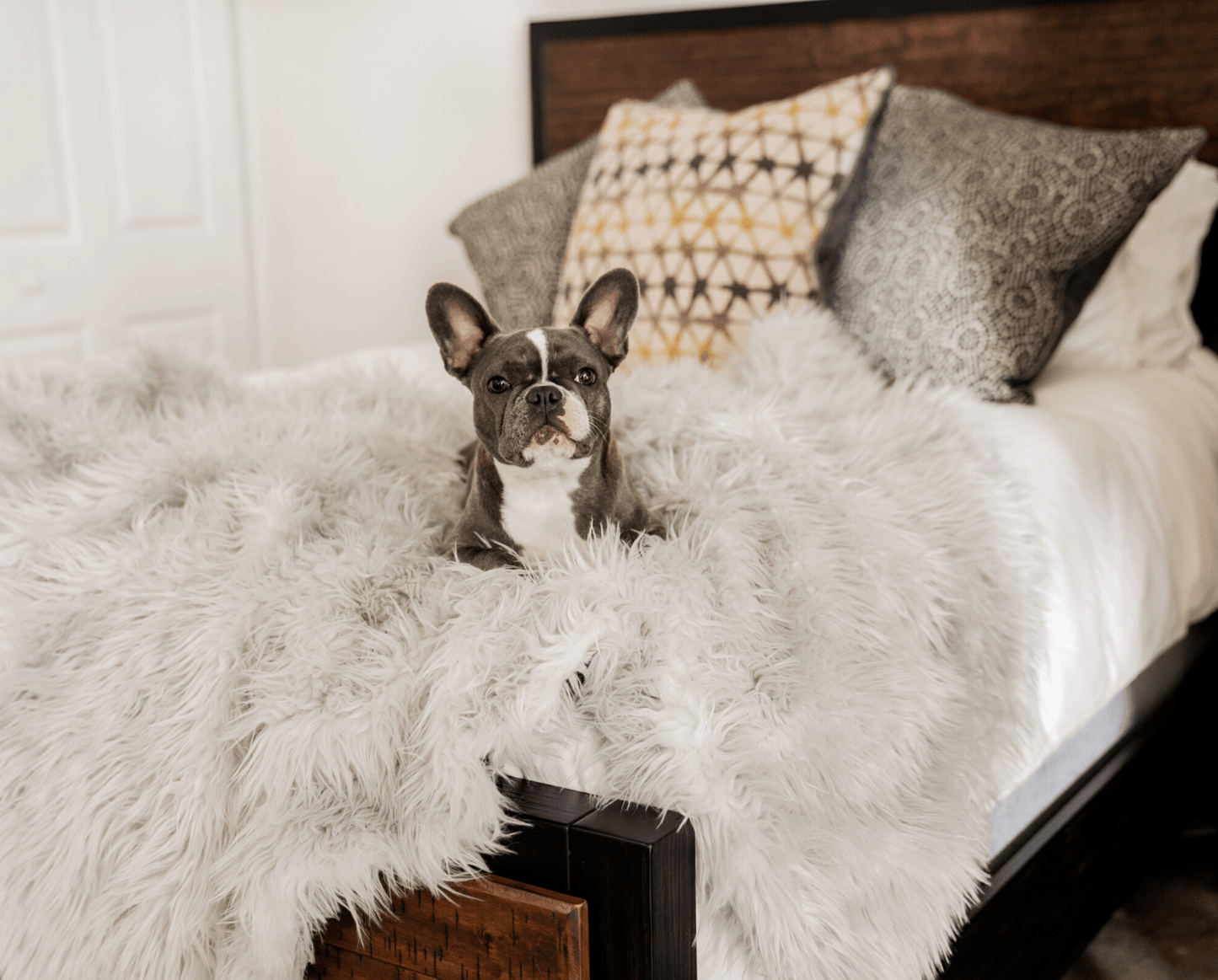 Orthopedic Dog Bed Rectangular, Grey + Waterproof Blanket - Huge