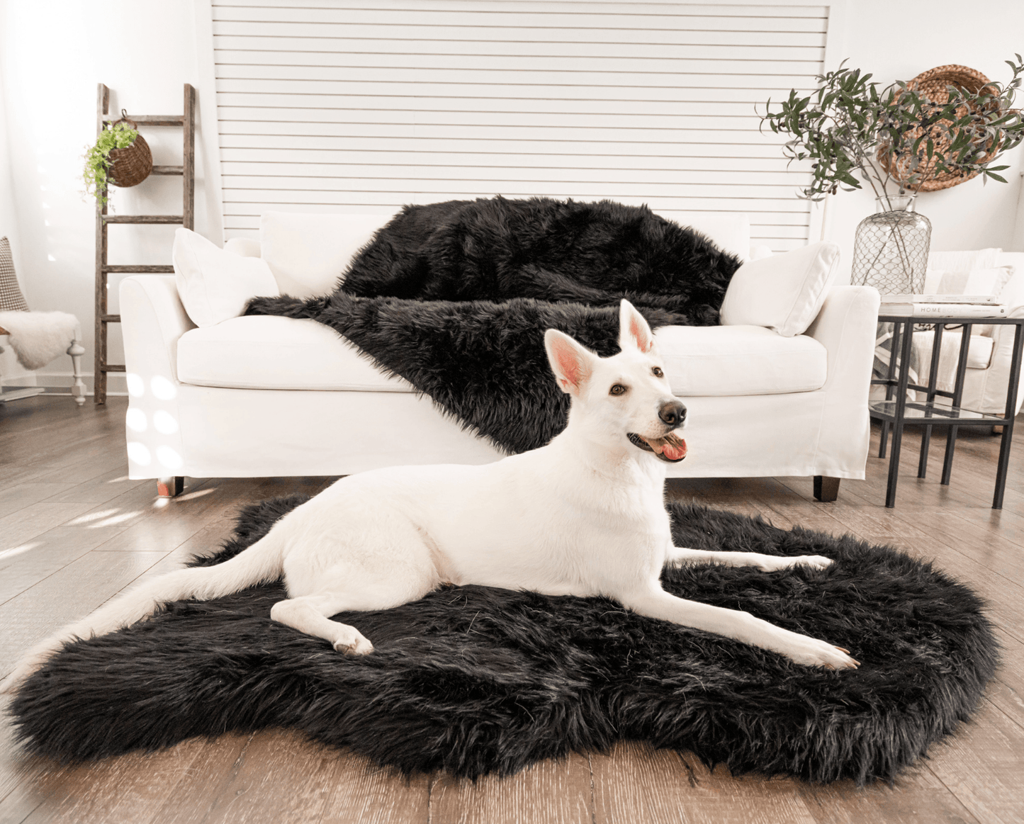 Orthopedic Dog Bed Faux Fur - Curve Midnight Black