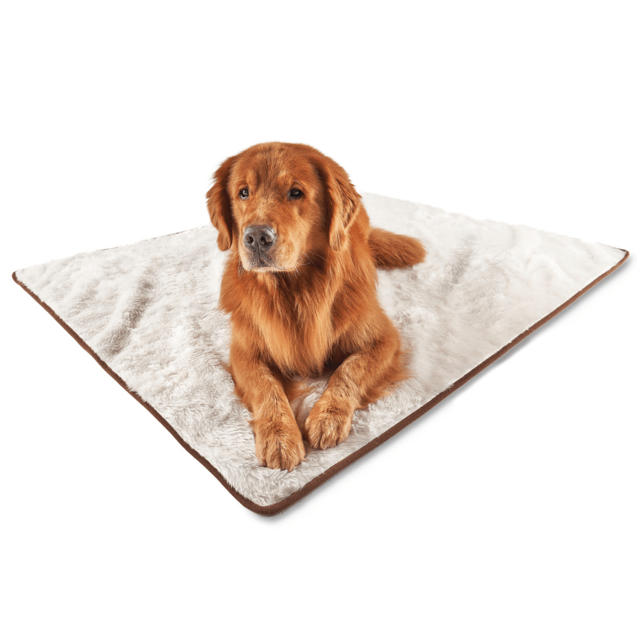 Waterproof blanket for dogs - short pile, white
