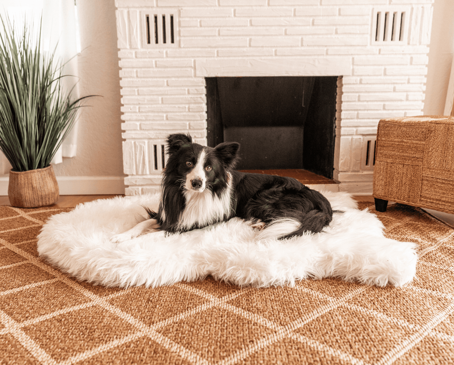 Orthopedic dog bed made of faux fur - Curve Pool White