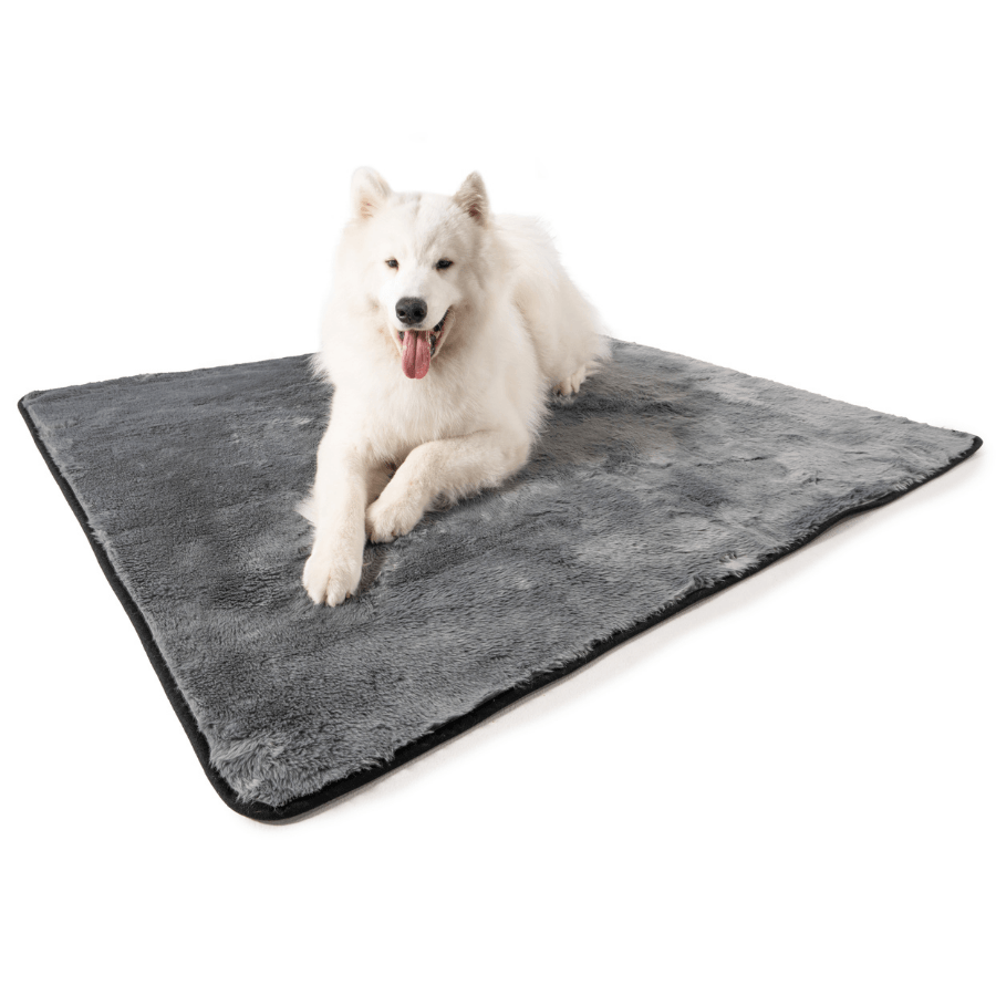 Waterproof Pet Blanket for Dogs - Shorthair, Charcoal Grey
