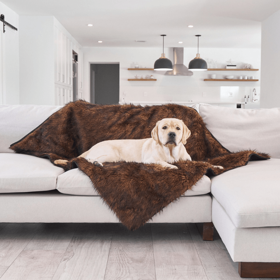 Waterproof blanket for dogs - Brown