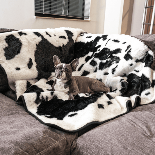 Waterproof Dog Blanket - Black Faux Cow Skin