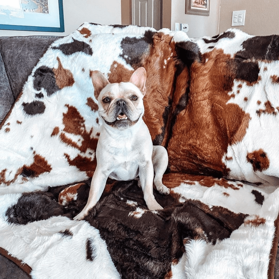 Waterproof Pet Blanket - Brown Faux Fur