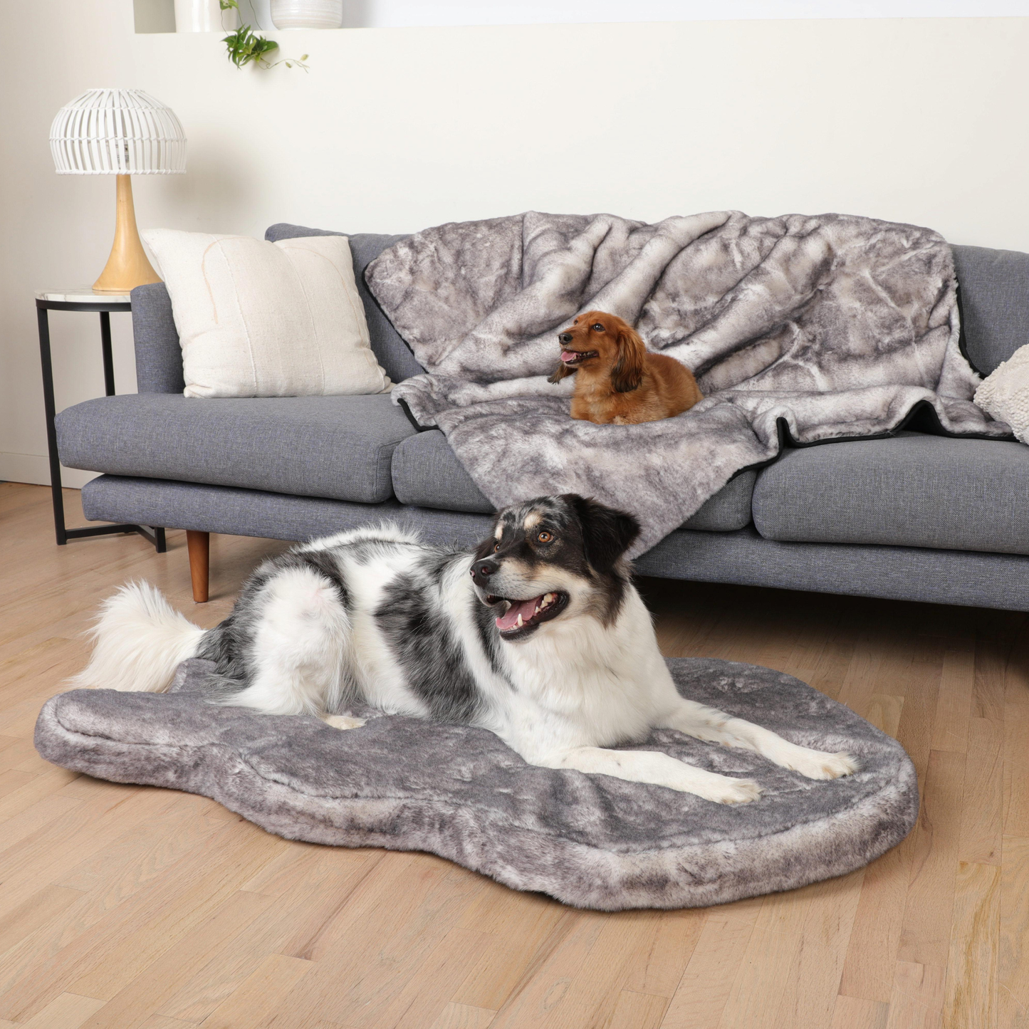 Orthopedic dog bed with waterproof blanket - Chinchilla