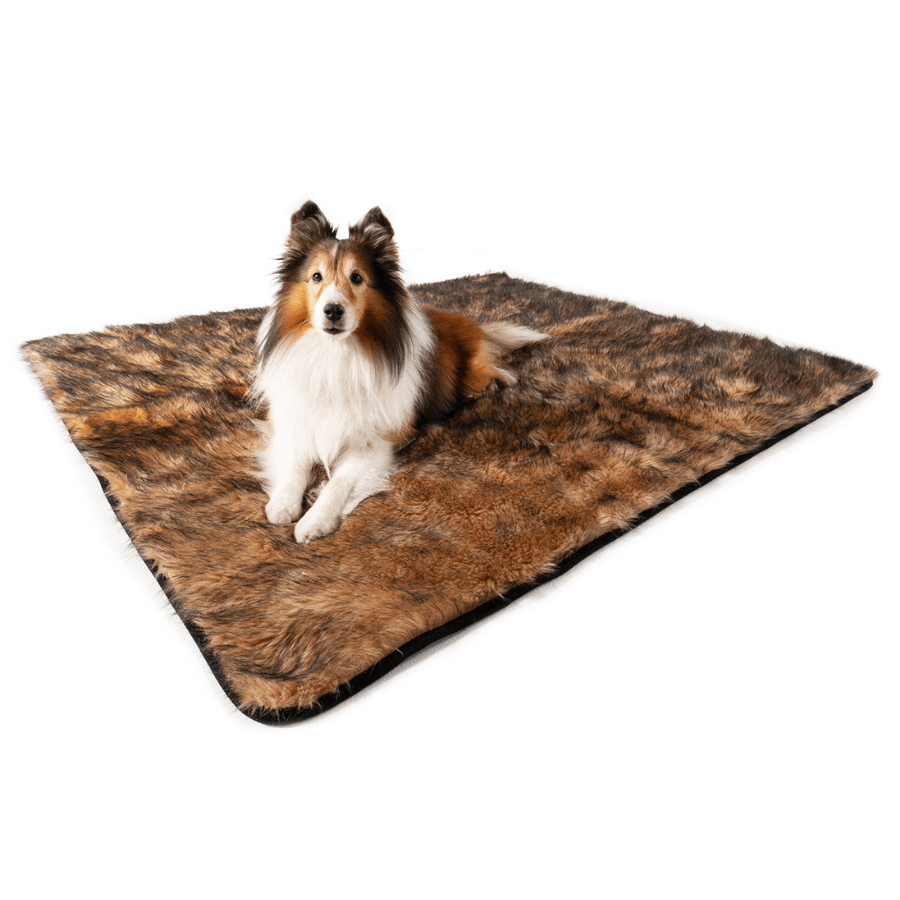 Waterproof blanket for dogs - Sable Tan