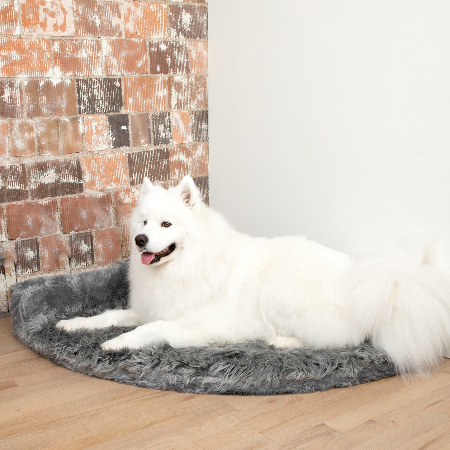 Corner Memory Foam Dog Bed - Charcoal Grey