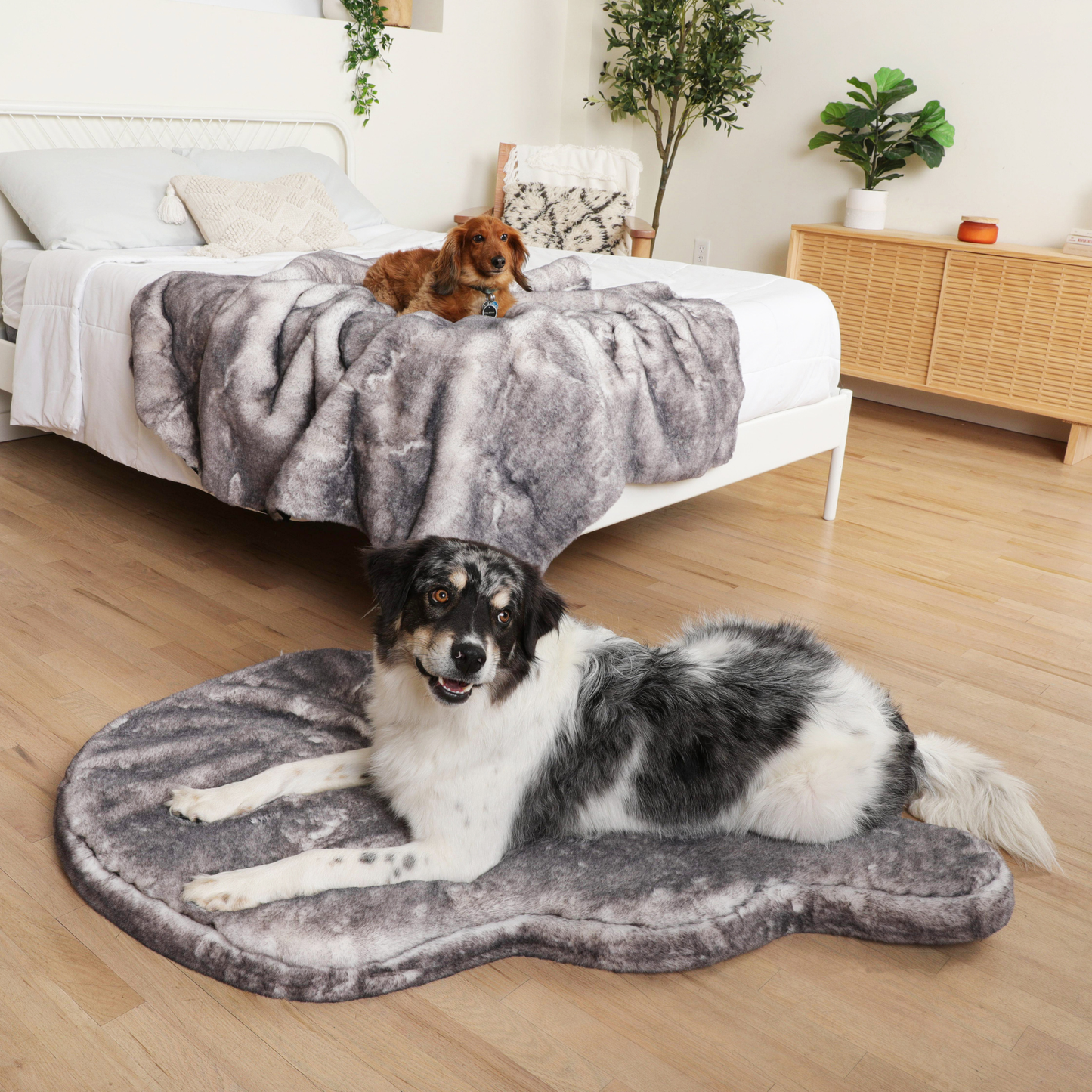 Orthopedic dog bed with waterproof blanket - Chinchilla