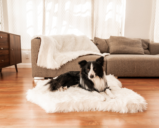 Junior Memory Foam Dog Bed with Waterproof Blanket - Polar Bear Faux Fur