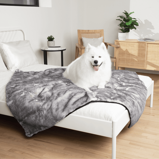 Waterproof faux fur blanket for dogs - Chinchilla