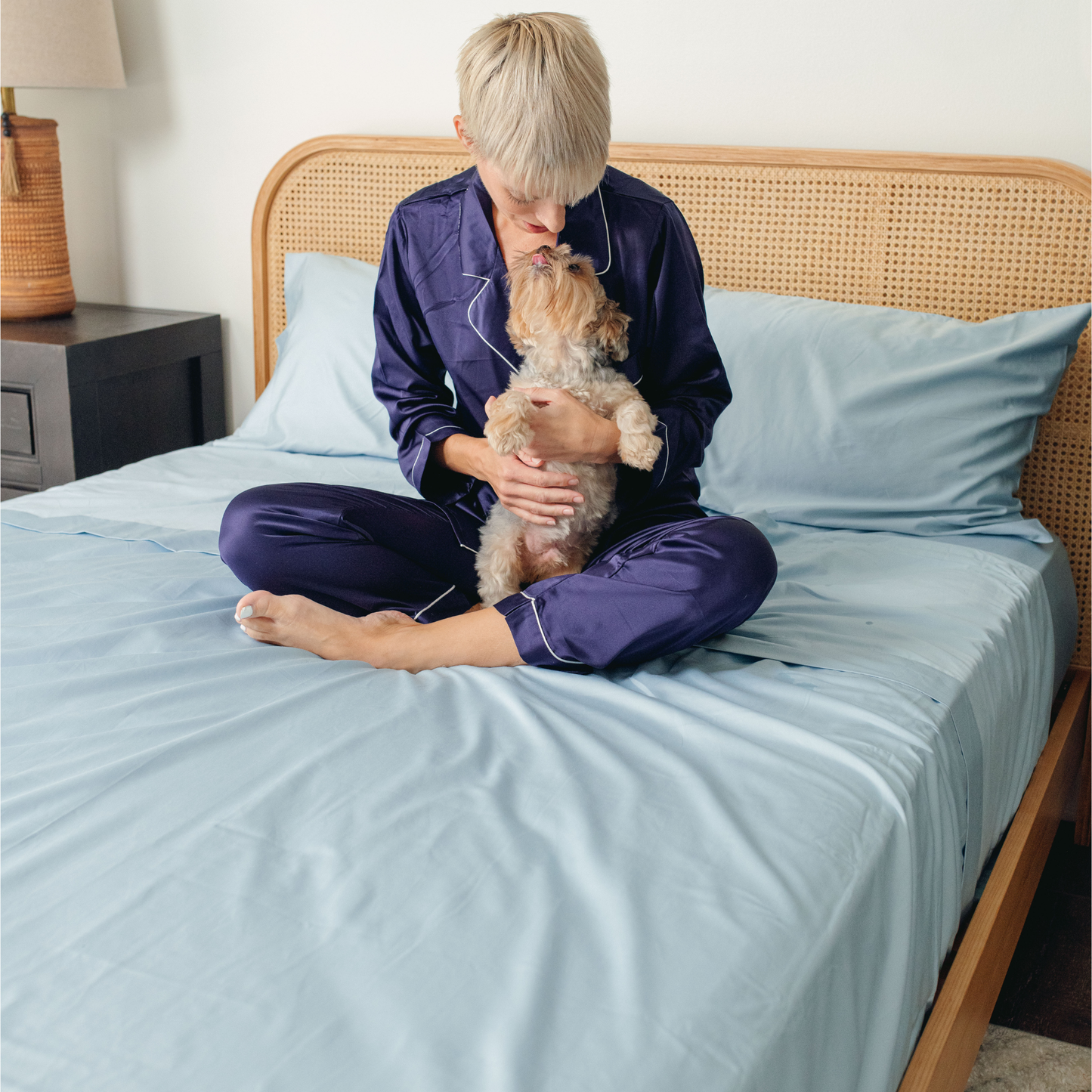 Hair Resistant, Antimicrobial & Cooling Sheet Set for Dogs - Light Blue