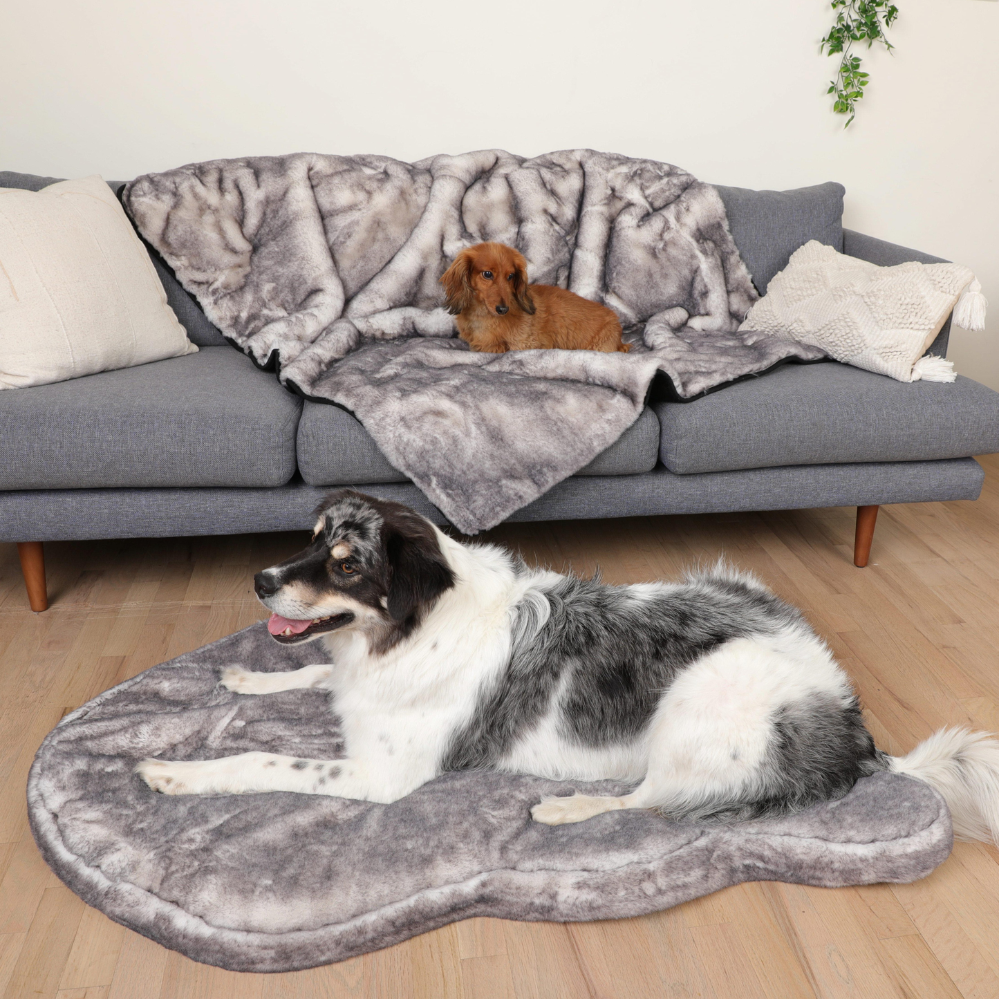 Orthopedic dog bed with waterproof blanket - Chinchilla