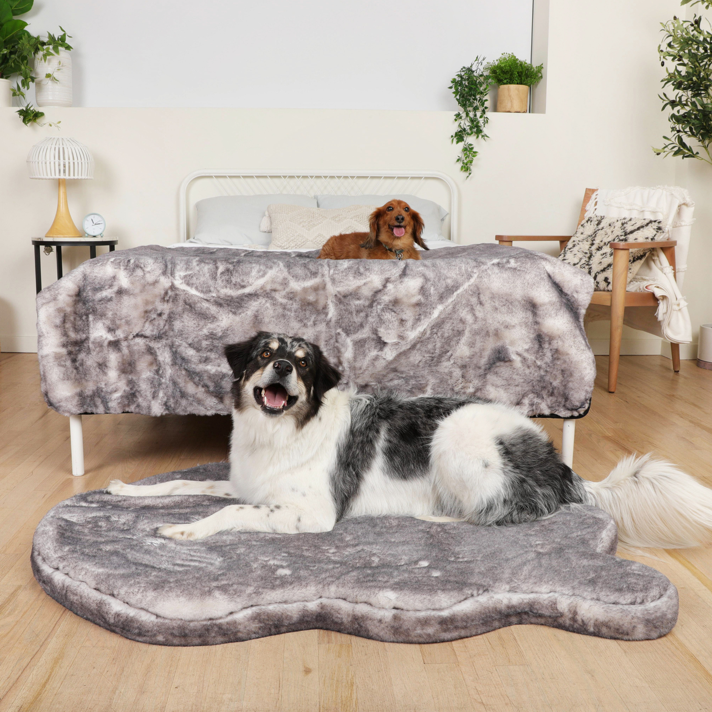 Orthopedic dog bed with waterproof blanket - Chinchilla