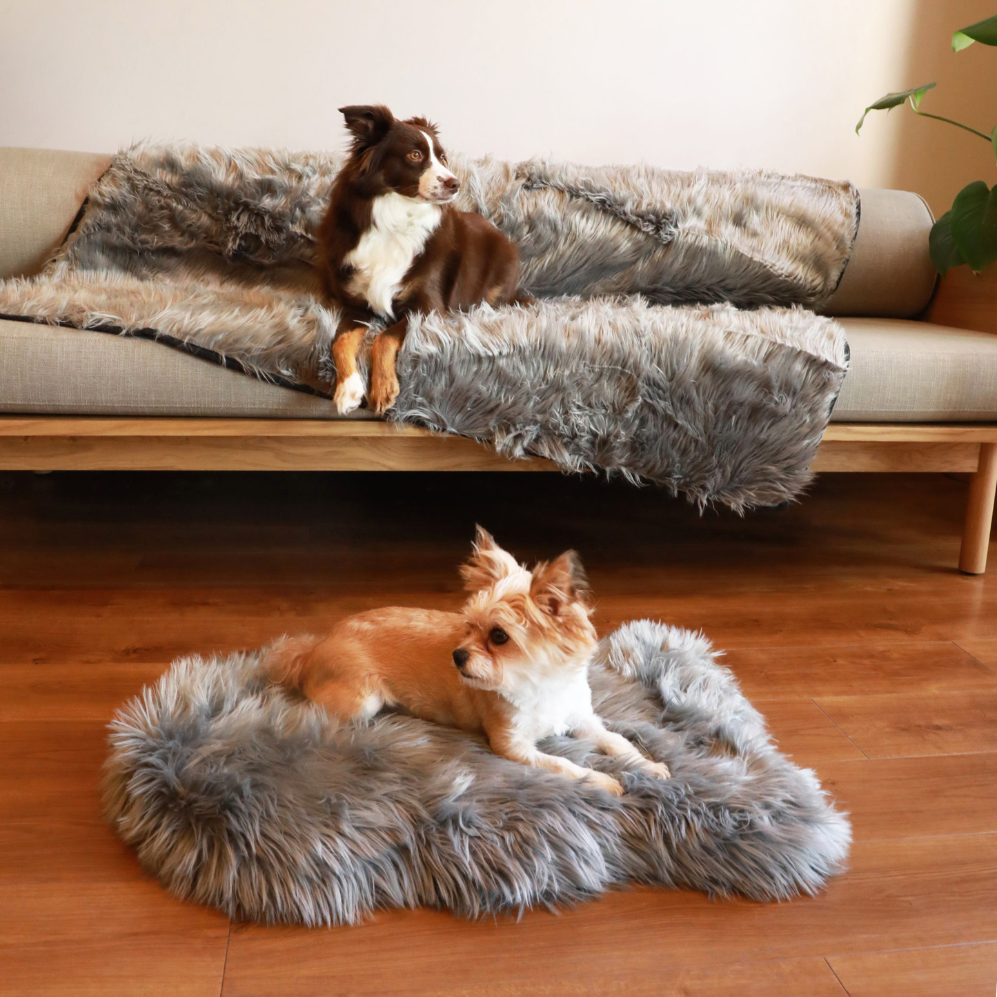 Orthopedic dog bed with waterproof blanket - anthracite grey