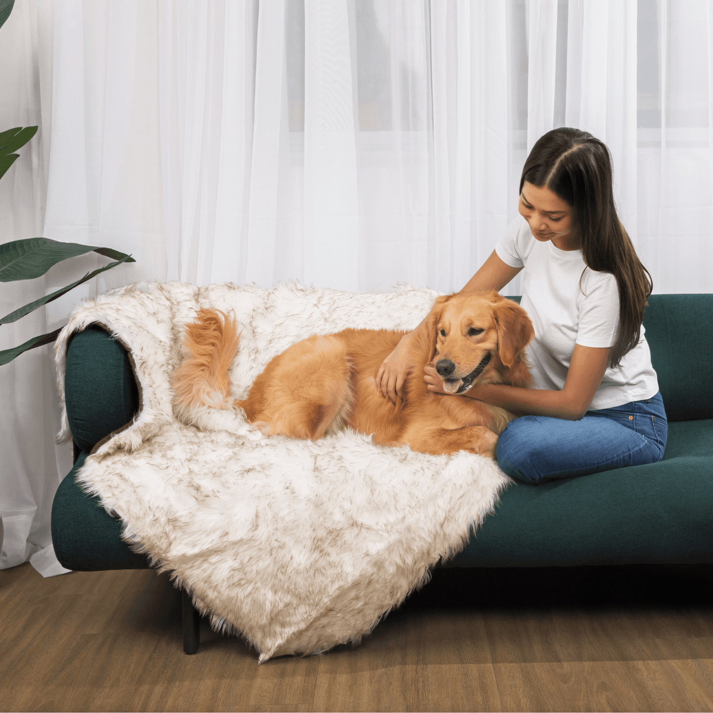 Dog Bed with Waterproof Blanket - White with Brown Accents
