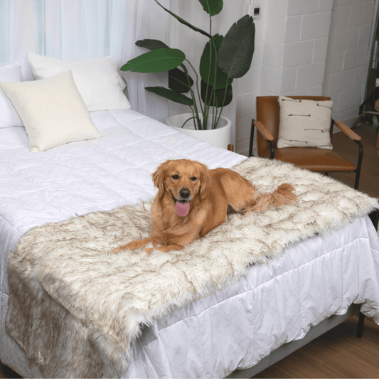 Waterproof Pet Bed Runner - White with Brown Accents