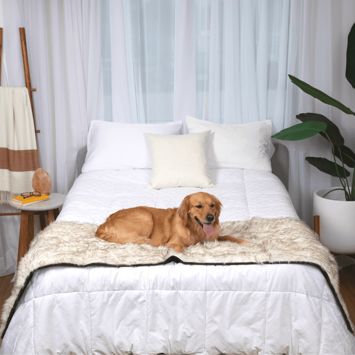 Waterproof Pet Bed Runner - White with Brown Accents