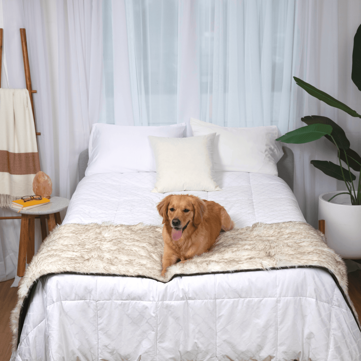 Waterproof Pet Bed Runner - White with Brown Accents