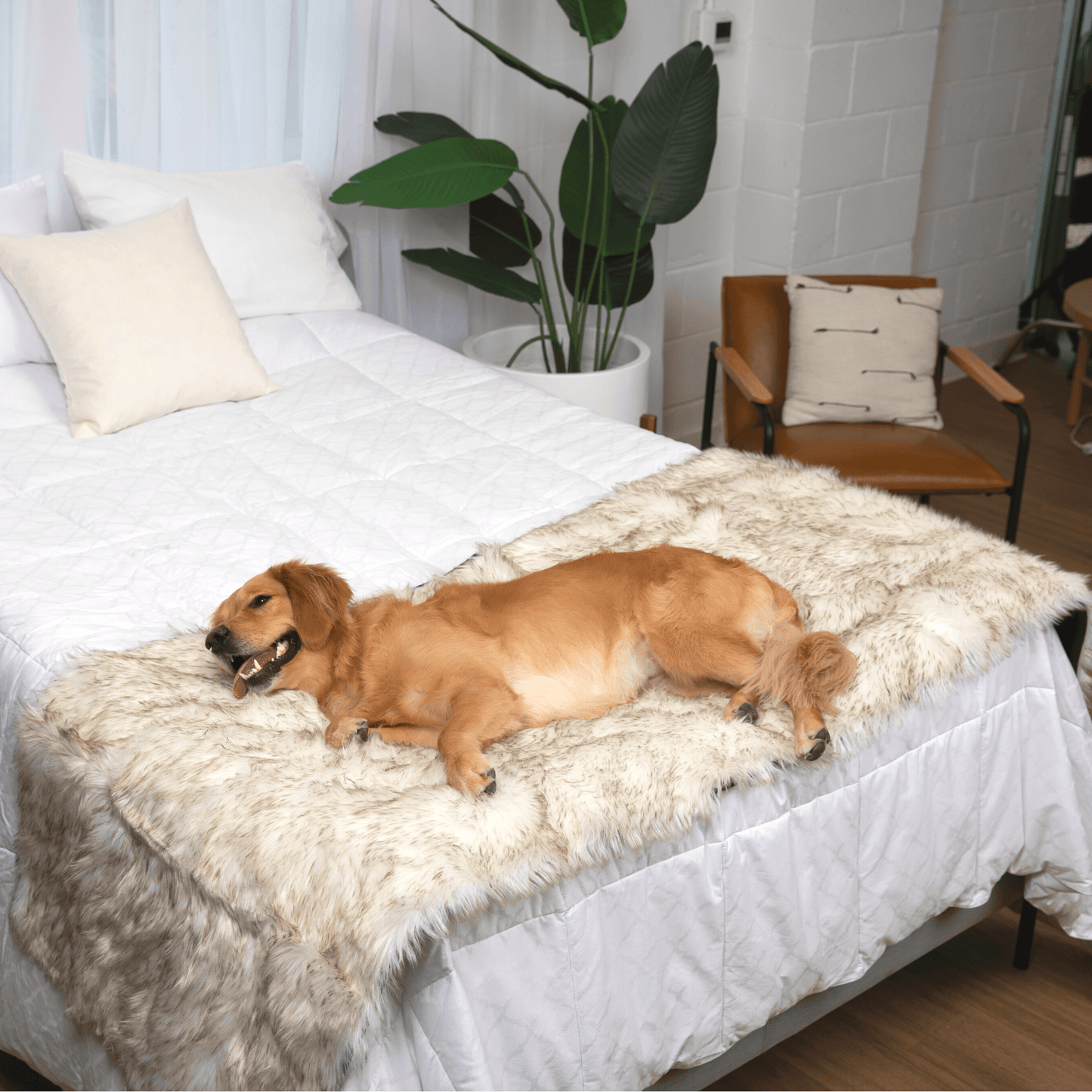 Waterproof Pet Bed Runner - White with Brown Accents
