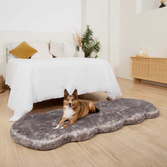 Running Faux Fur Memory Foam Dog Bed - Chinchilla