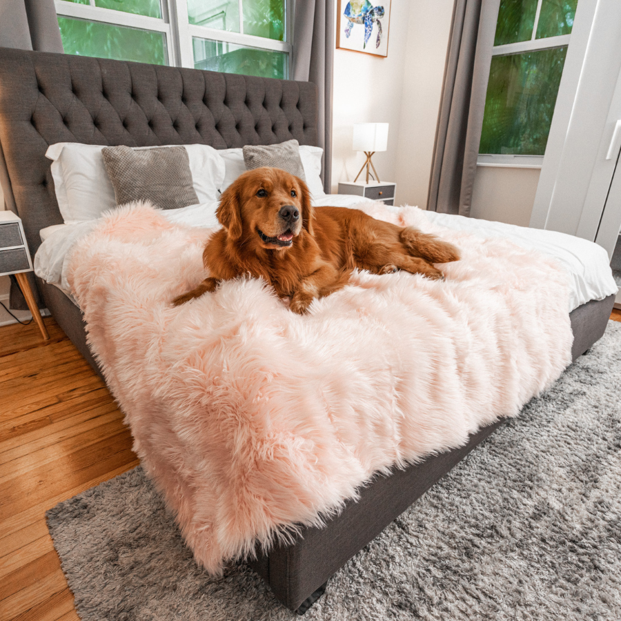 Waterproof Dog Blanket - Pale Pink
