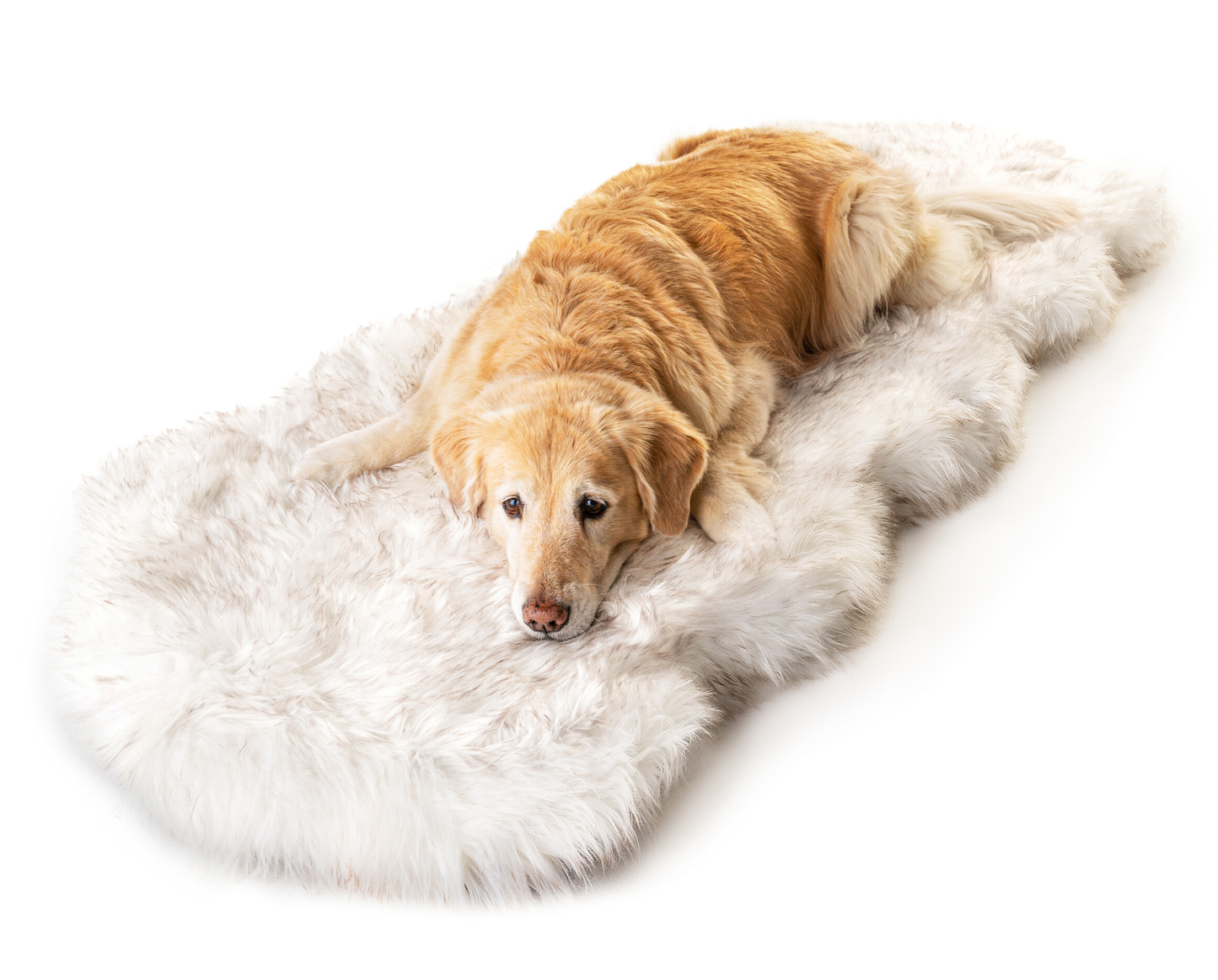 Faux Fur Dog Bed Cover for Memory Foam - Curve White with Brown Accents (Without Bed)
