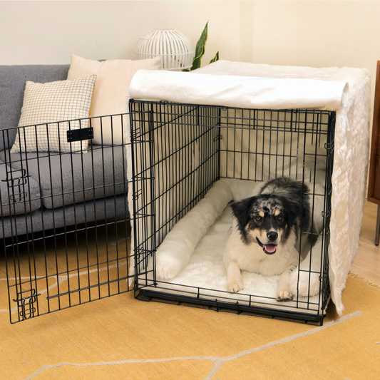 Dog Crate Upgrade Kit - Polar White