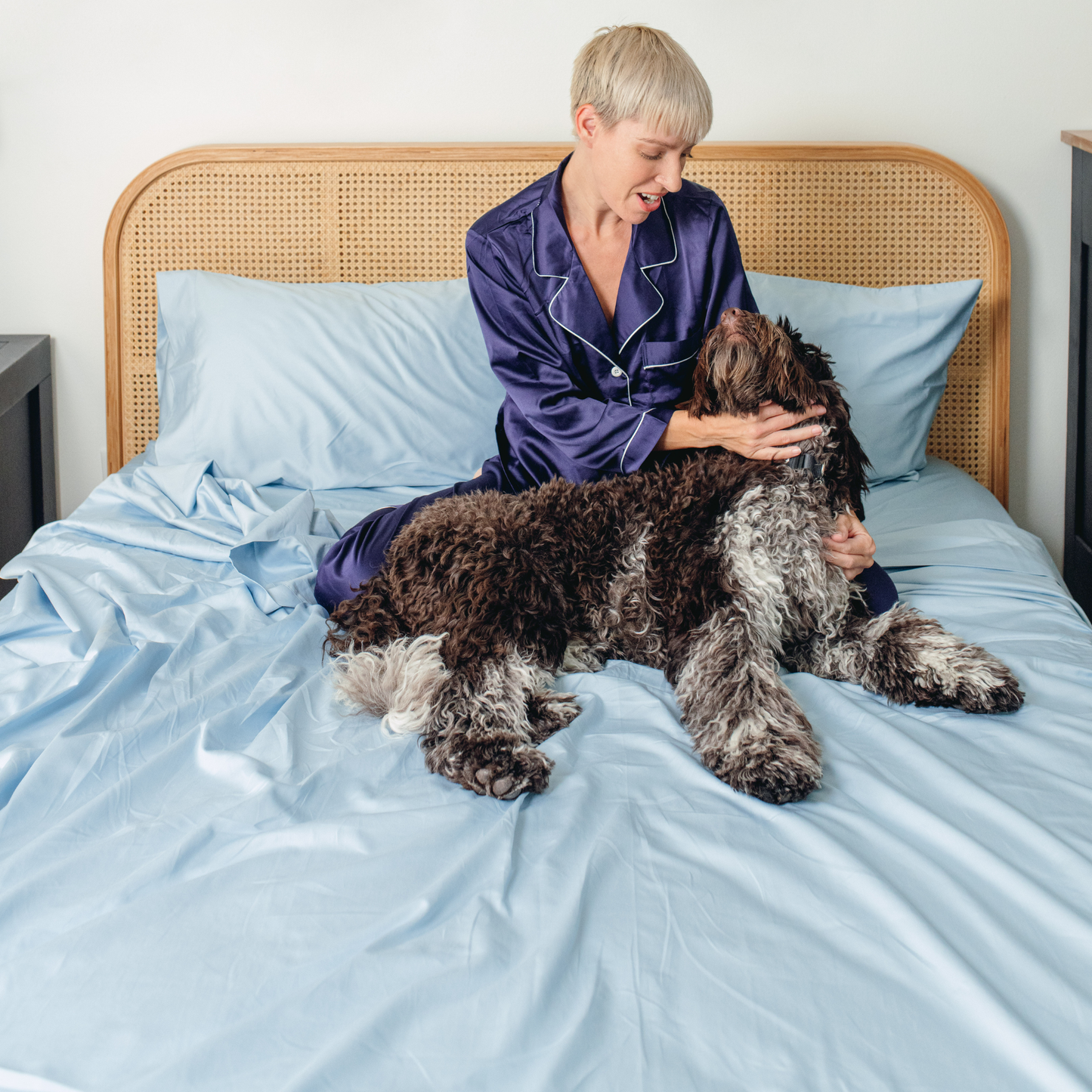 Hair Resistant, Antimicrobial & Cooling Sheet Set for Dogs - Light Blue