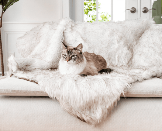 Scratch-resistant and waterproof cat blanket - white with brown accents
