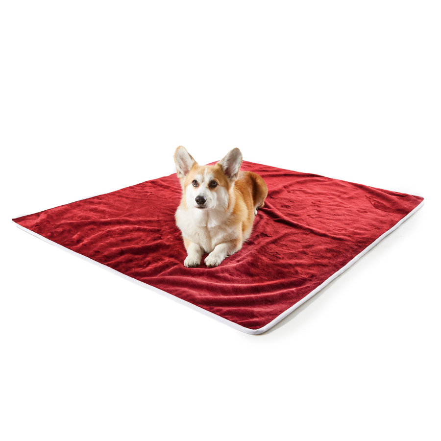 Waterproof Dog Blanket - Red Velvet