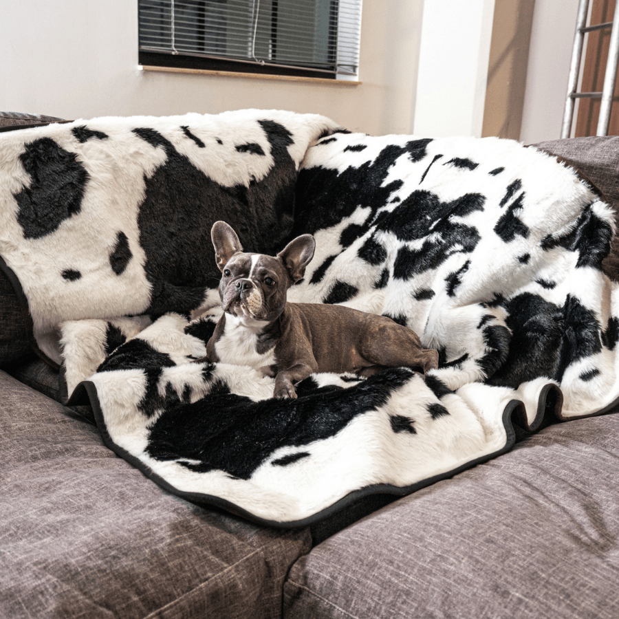 Waterproof blanket for dogs - Black faux fur