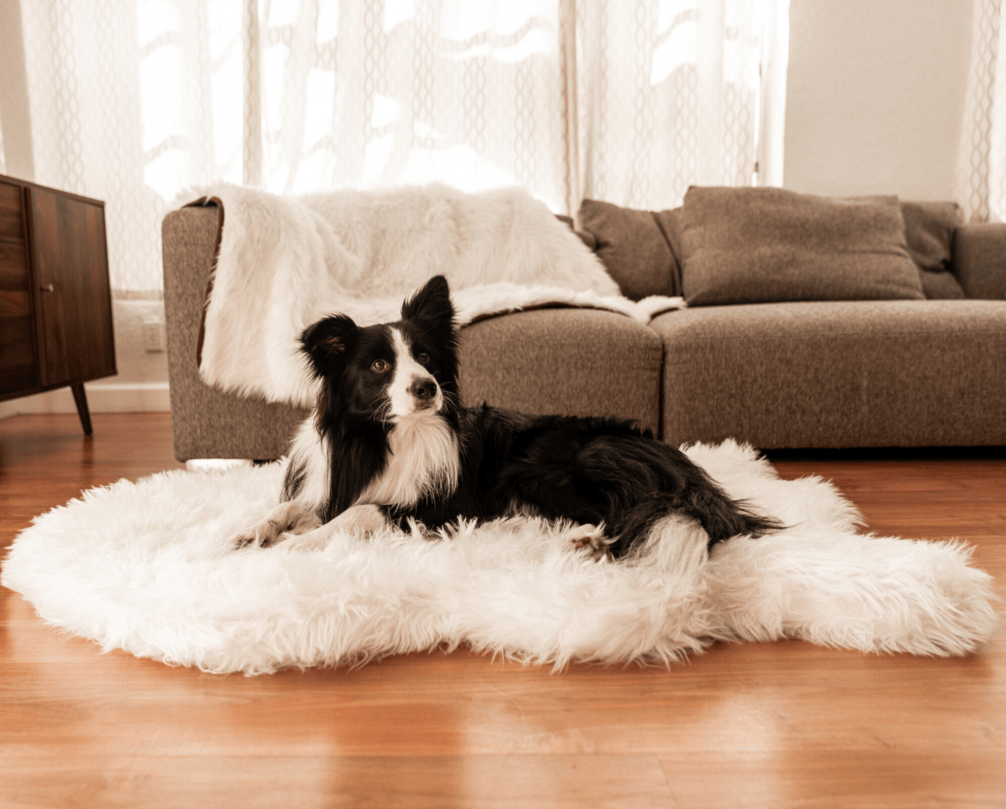 Orthopedic Dog Bed with Waterproof Blanket - White