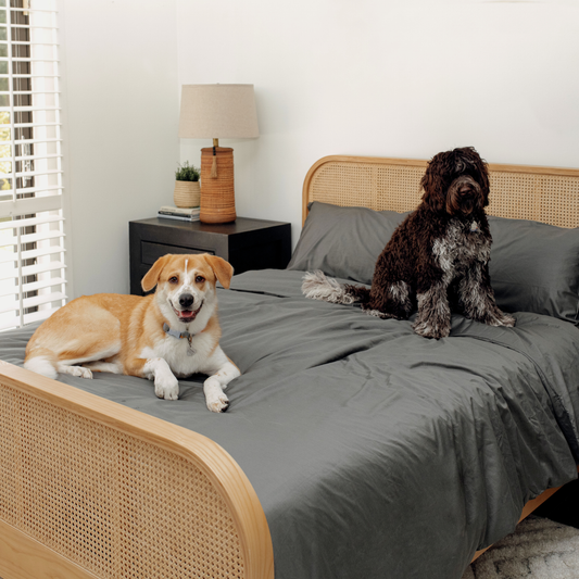 Hair Resistant, Antimicrobial & Cool Pet Bedding Set - Graphite