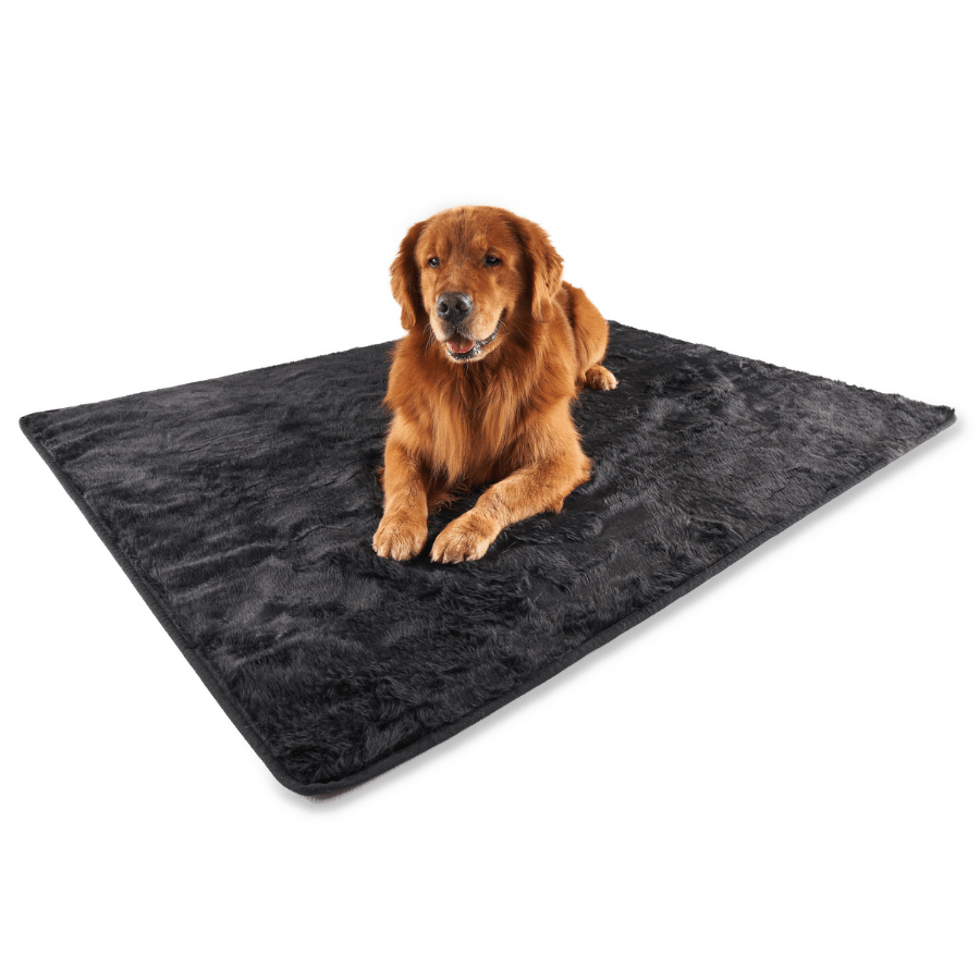 Waterproof summer blanket for dogs - Black