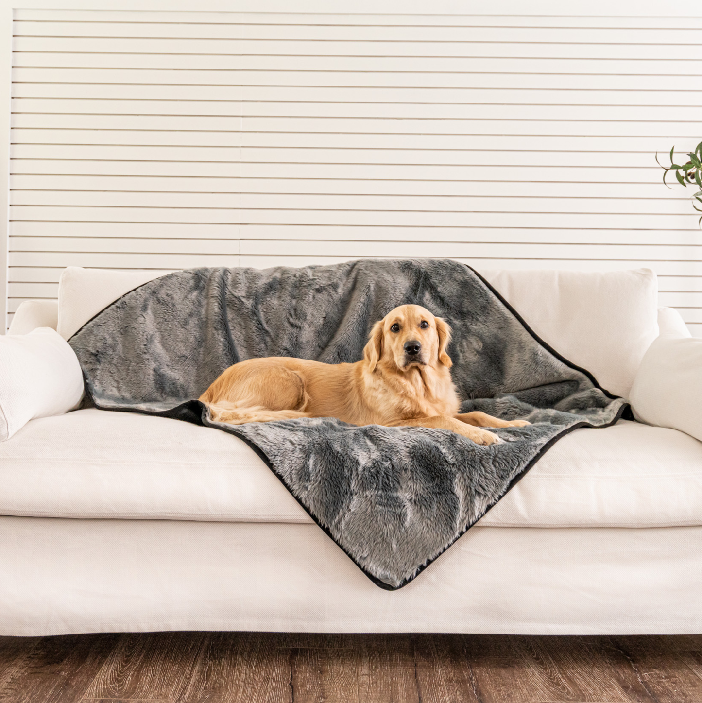 Waterproof Pet Blanket for Dogs - Shorthair, Charcoal Grey