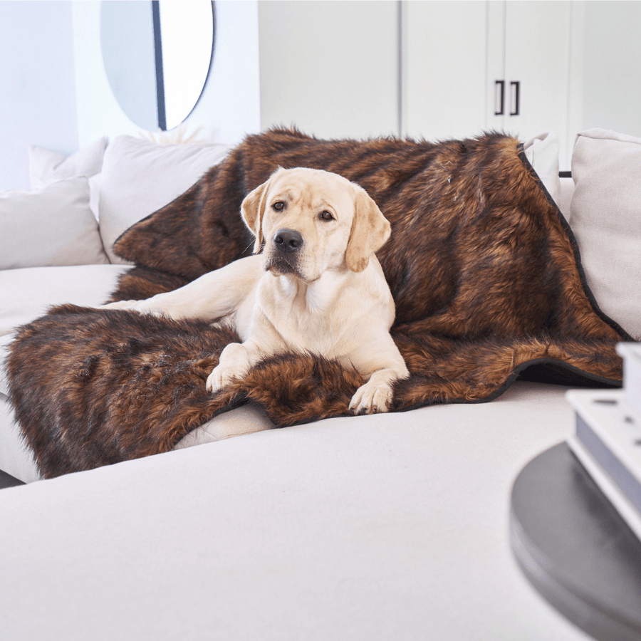Waterproof blanket for dogs - Brown