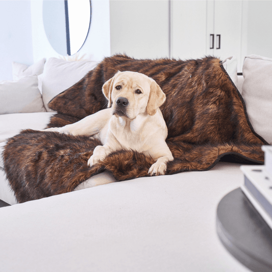 Waterproof blanket for dogs - Brown