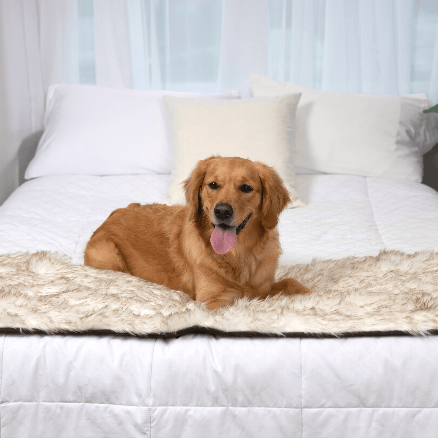 Waterproof Pet Bed Runner - White with Brown Accents