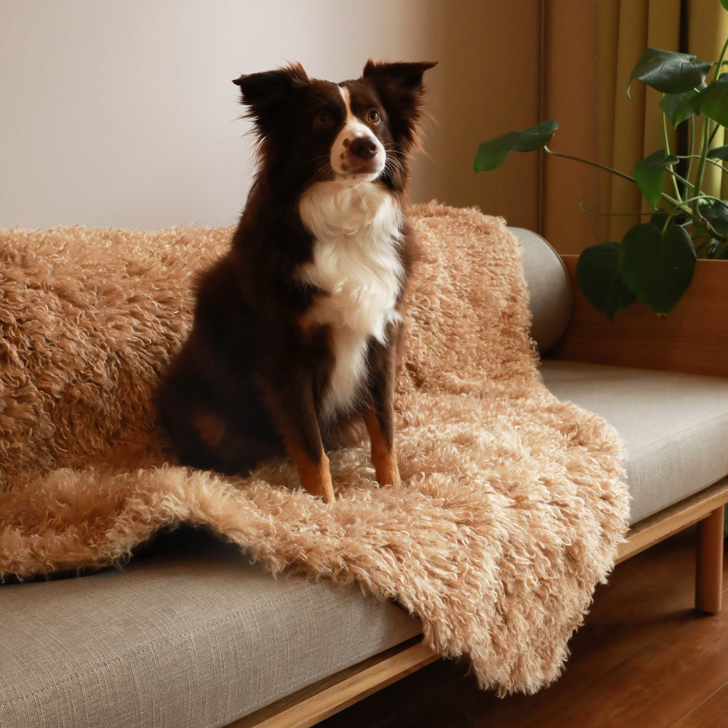 Luxe Waterproof Faux Fur Blanket - Plush Sheep Tan by PupProtector™