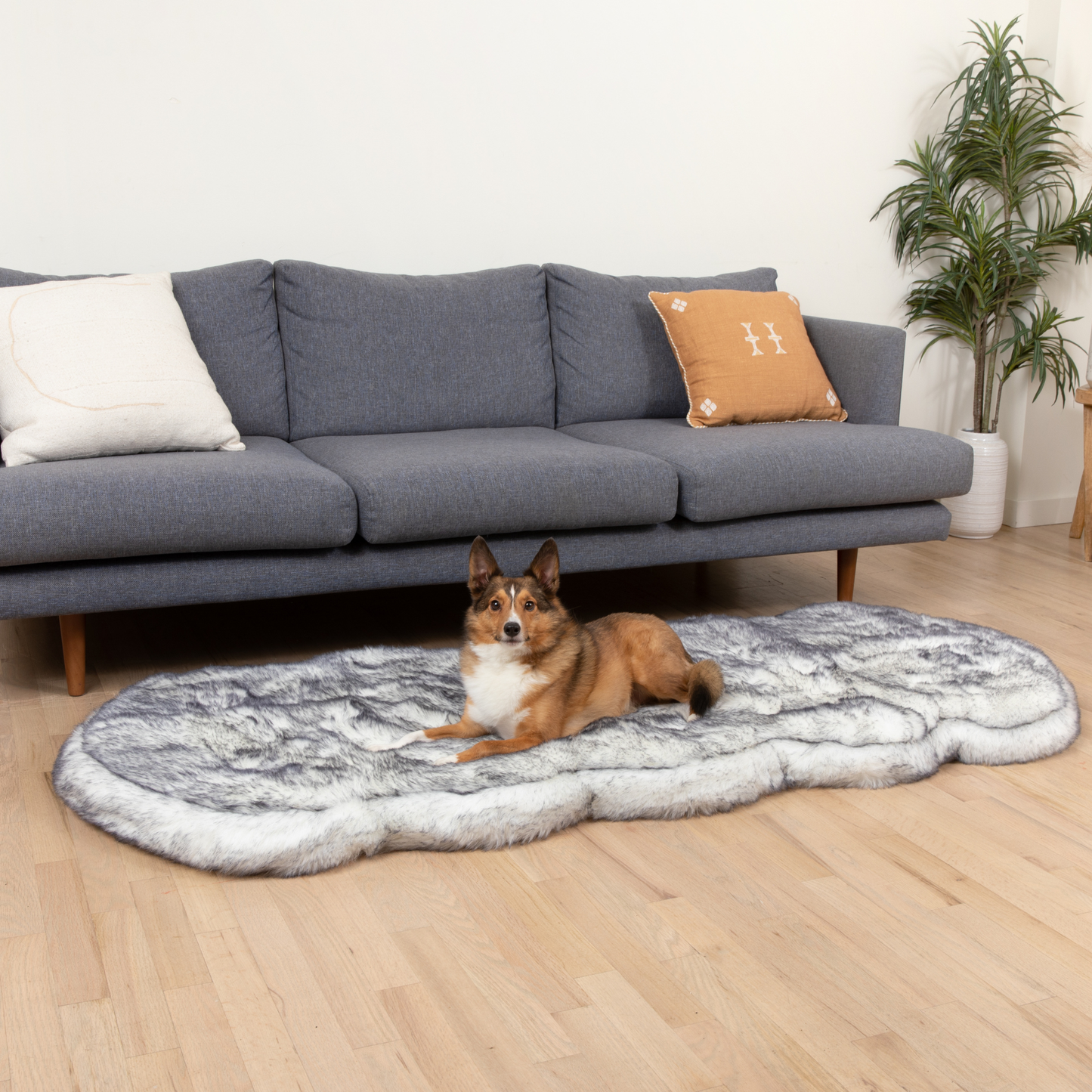Runner Faux Leather Dog Bed with Memory Foam - Plush Arctic Fox