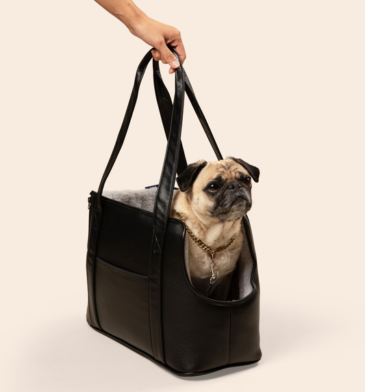 3-in-1 Faux Leather Dog Bag - Black