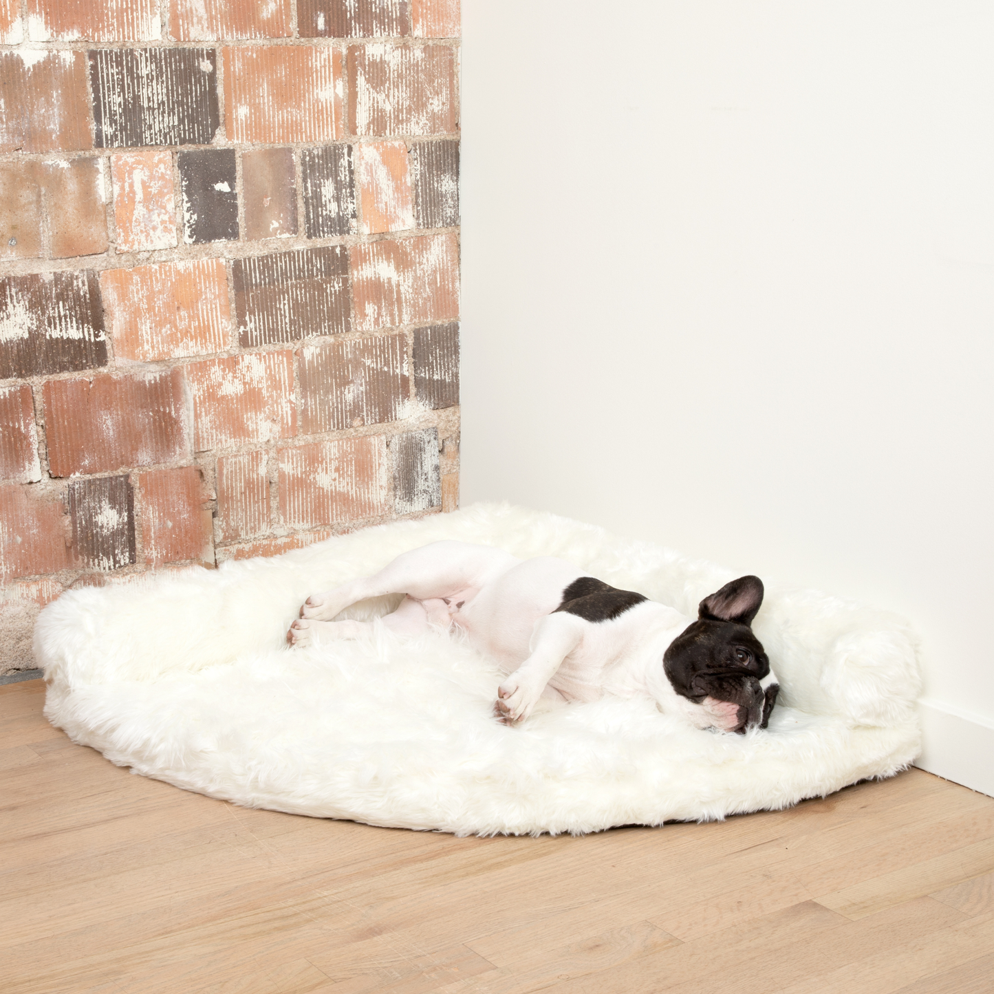 Corner Memory Foam Dog Bed - Polar White