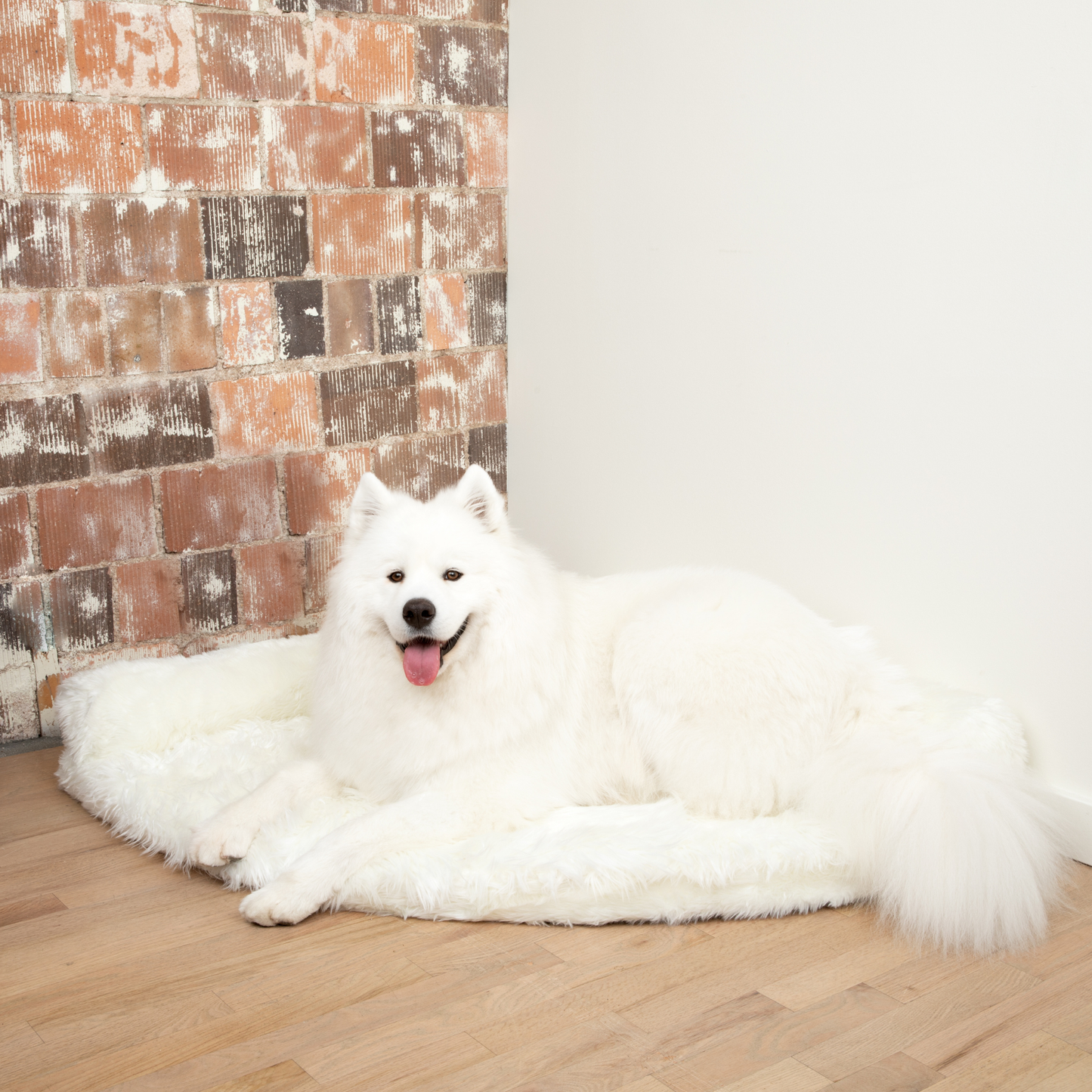 Corner Memory Foam Dog Bed - Polar White