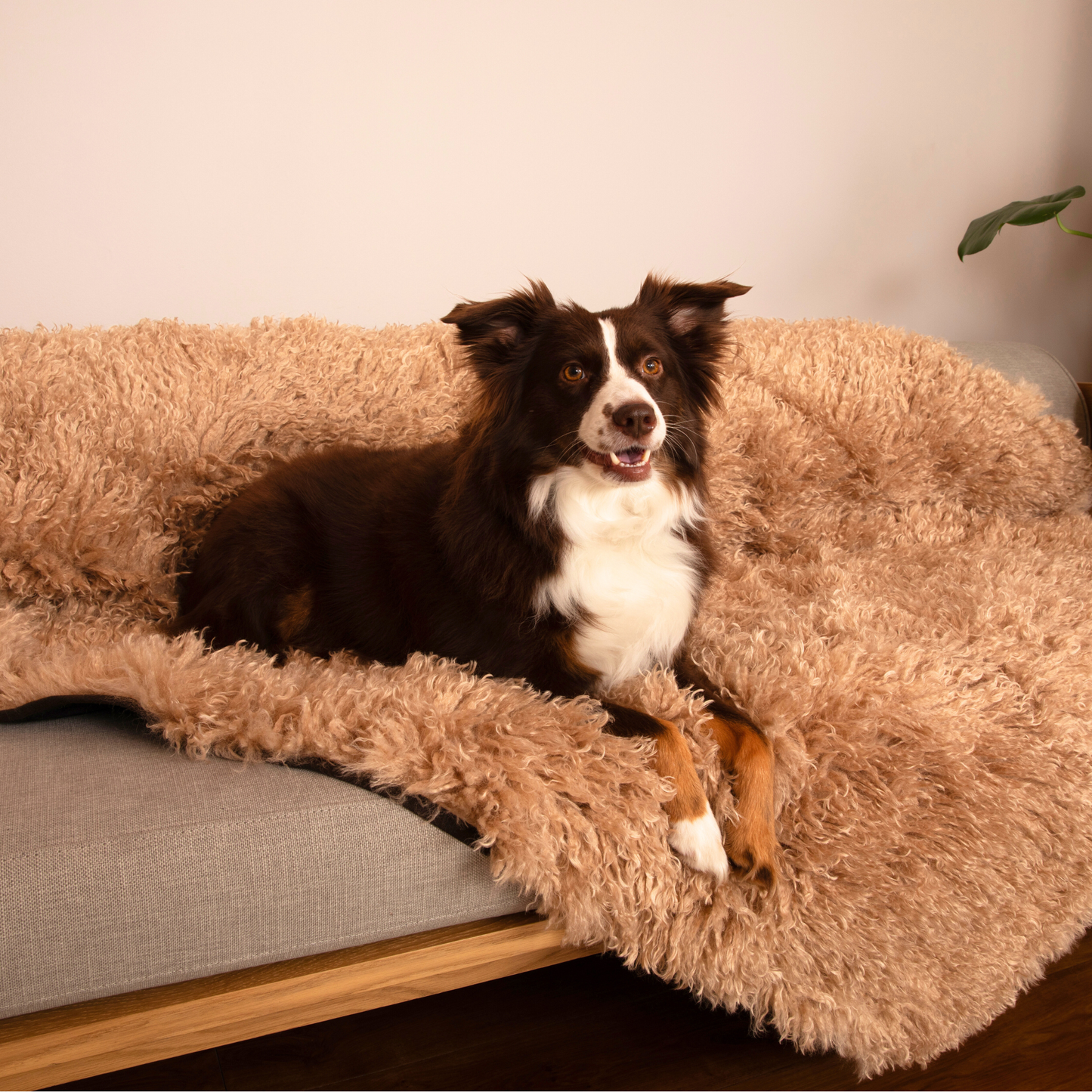 Luxe Waterproof Faux Fur Blanket - Plush Sheep Tan by PupProtector™
