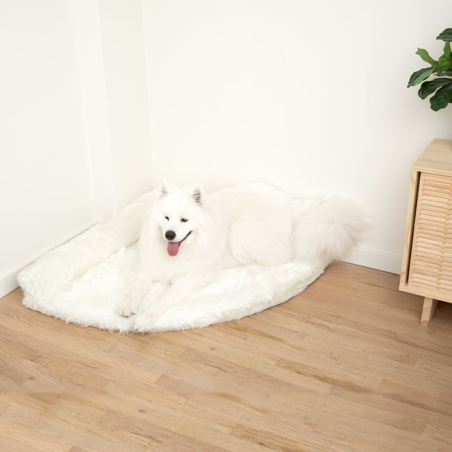 Corner Memory Foam Dog Bed - Polar White